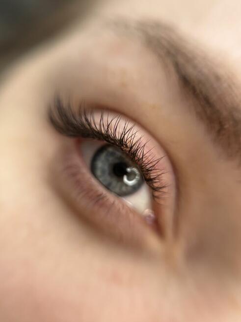 Ansty Lashes & Beauty Bar