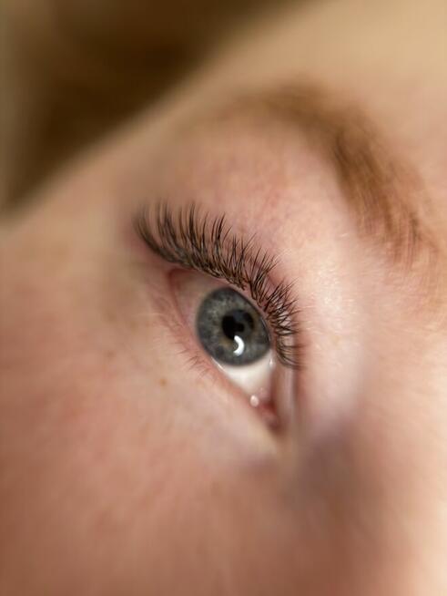 Ansty Lashes & Beauty Bar