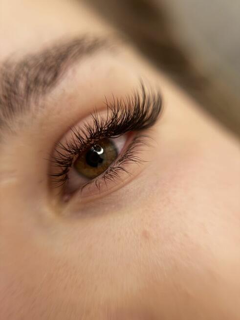 Ansty Lashes & Beauty Bar