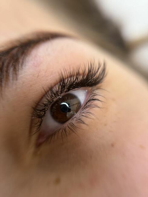 Ansty Lashes & Beauty Bar