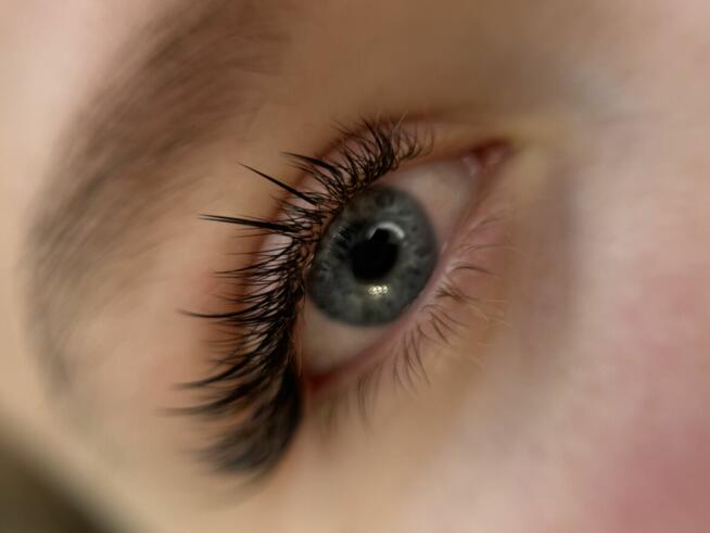 Ansty Lashes & Beauty Bar