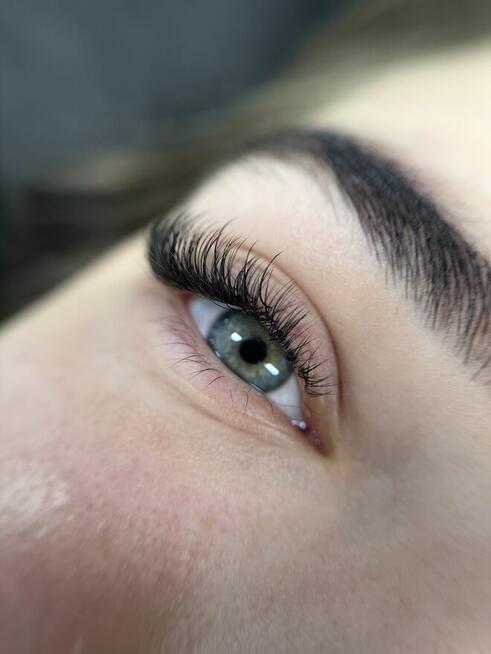 Ansty Lashes & Beauty Bar