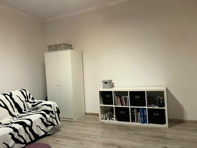 Dom z dużym potencjałem biznesowym, wolnostojący