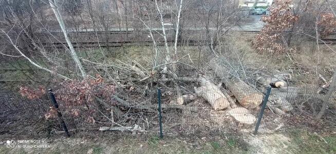 Wycinka drzew i krzewów, karczowanie i sprzątanie działek,