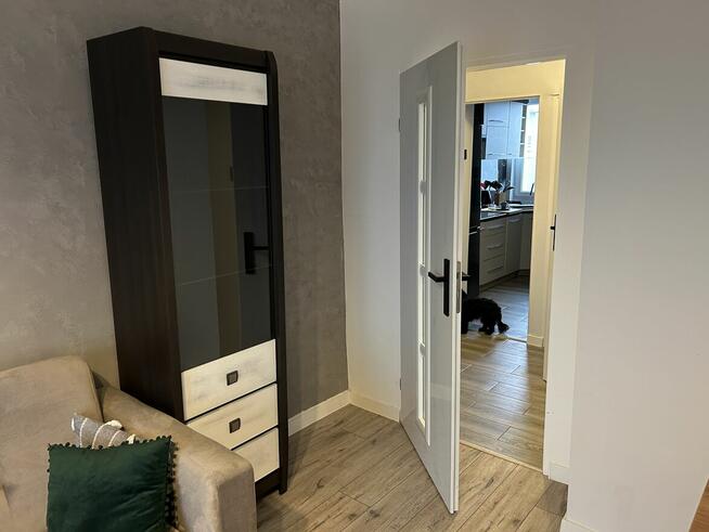 Mieszkanie 39m2. 2pokoje, wyposażone na sprzedaż