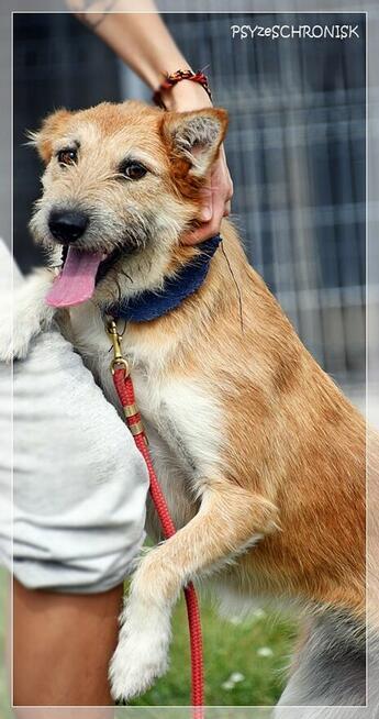 Frotka – stworzona do życia z ludźmi