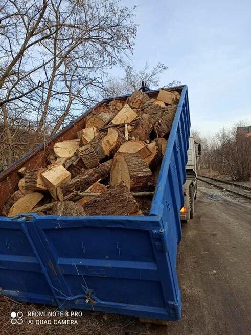 Wycinka drzew i krzewów, karczowanie i sprzątanie działek,