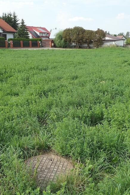 Działka Władzimirów blisko Konina