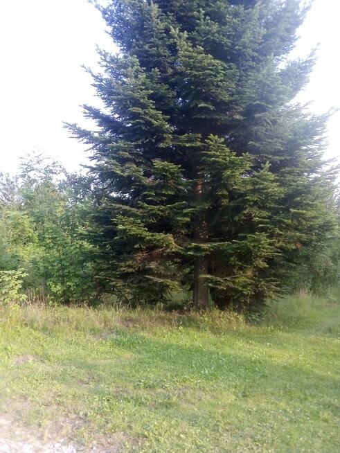 Działka budowlana Barłomino gm. Luzino, Ofiar Stutthofu