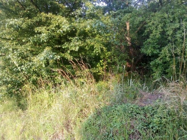 Działka budowlana Barłomino gm. Luzino, Ofiar Stutthofu