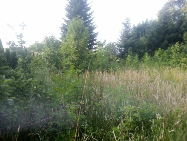 Działka budowlana Barłomino gm. Luzino, Ofiar Stutthofu