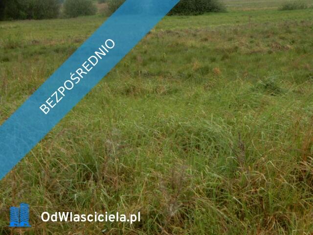 Syndyk sprzeda udział 1/8, Oborzany, działki nr 240, nr 459, nr 505 - cena 80% wartości oszacowania