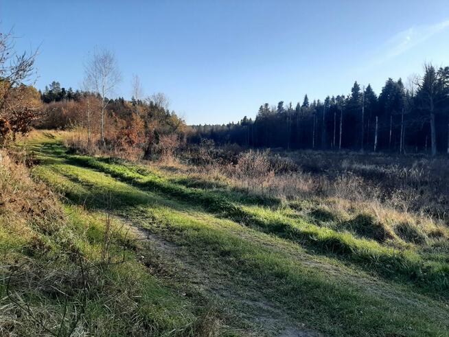 Działka rekreacyjna Leśniówka gm. Chorkówka,