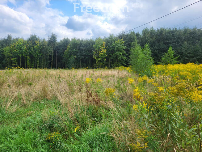 Działka rolno-budowlana