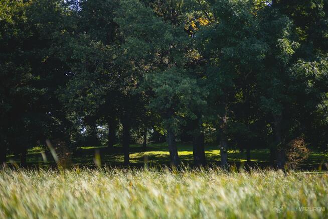 Dom Czerwony Dwór gm. Węgorzewo