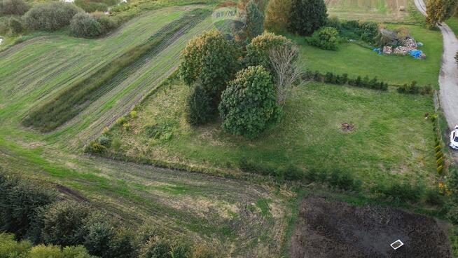 Przezmark – 1,56 ha pod siedlisko lub inwestycję