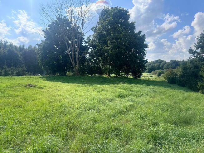 Przezmark – 1,56 ha pod siedlisko lub inwestycję