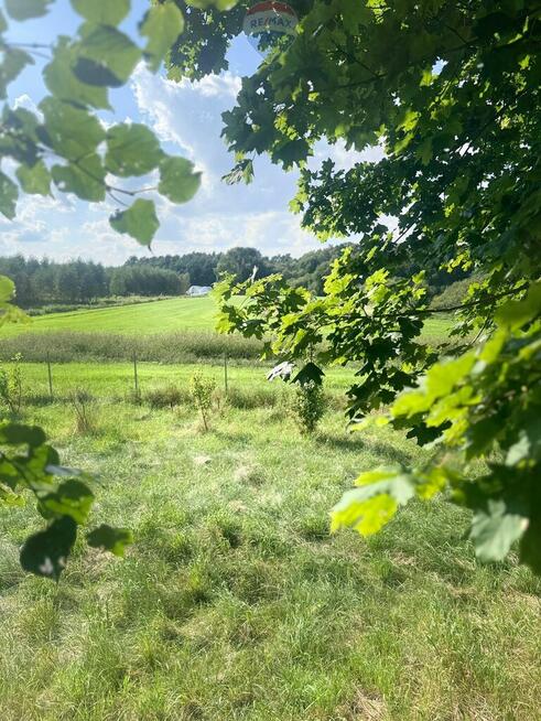 Przezmark – 1,56 ha pod siedlisko lub inwestycję