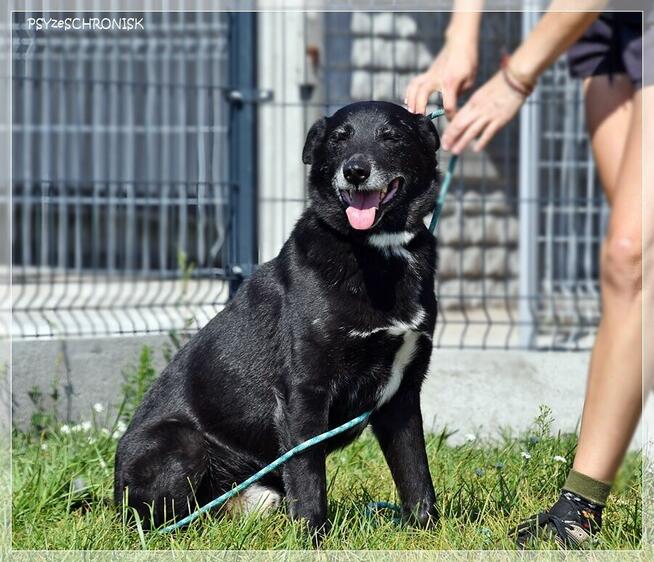 Ori – ma najpiękniejszy charakter