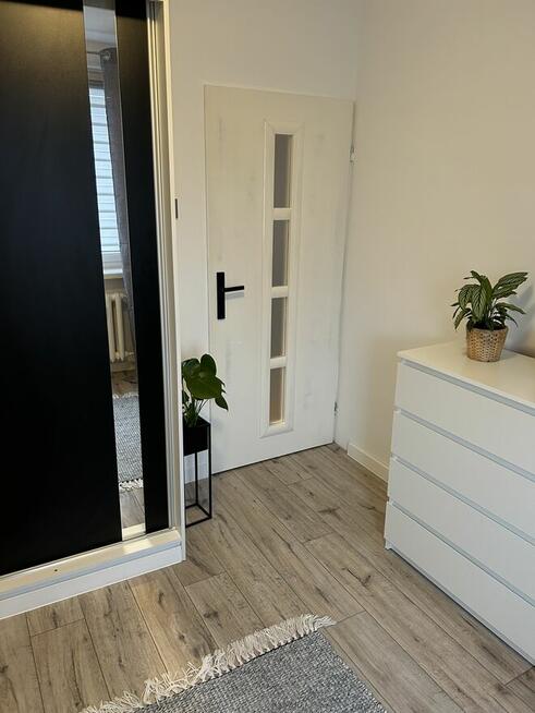 Mieszkanie 39m2. 2pokoje, wyposażone na sprzedaż