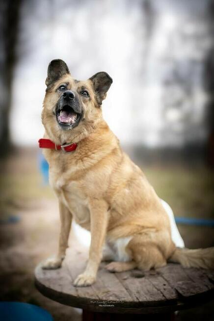 HANIA szuka swego kąta – może właśnie Ty ją spotkasz?