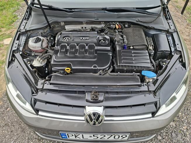 VW Golf VII