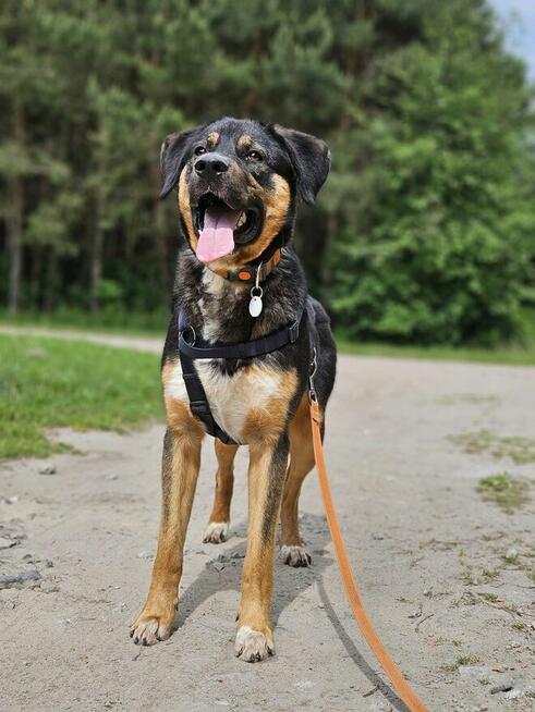 Koral tylko czeka na tego jedynego człowieka