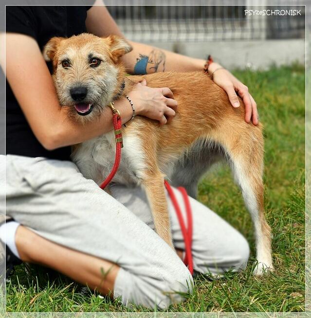 Frotka – stworzona do życia z ludźmi