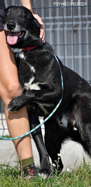 Ori – ma najpiękniejszy charakter