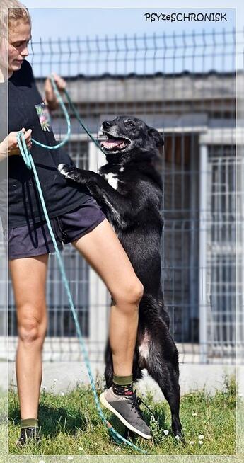 Ori – ma najpiękniejszy charakter