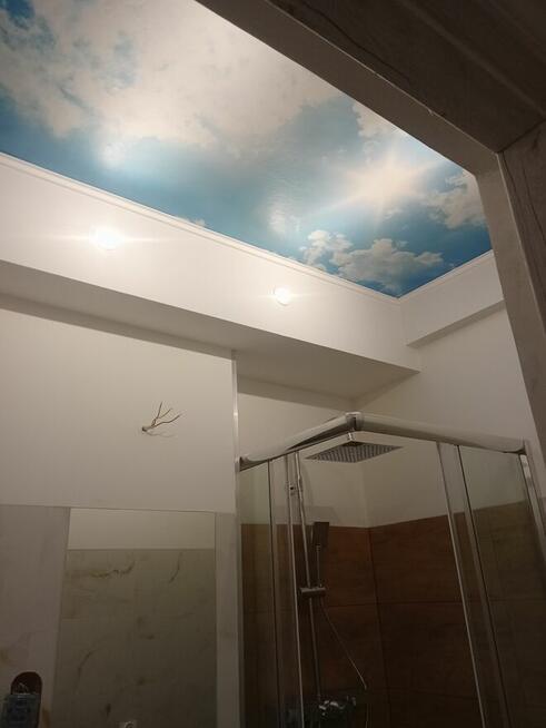 DREW-BUD FIRMA REMONTOWO-BUDOWLANA