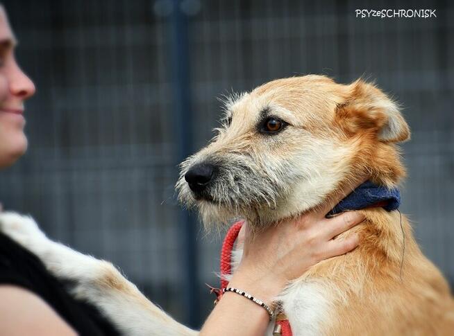 Frotka – stworzona do życia z ludźmi