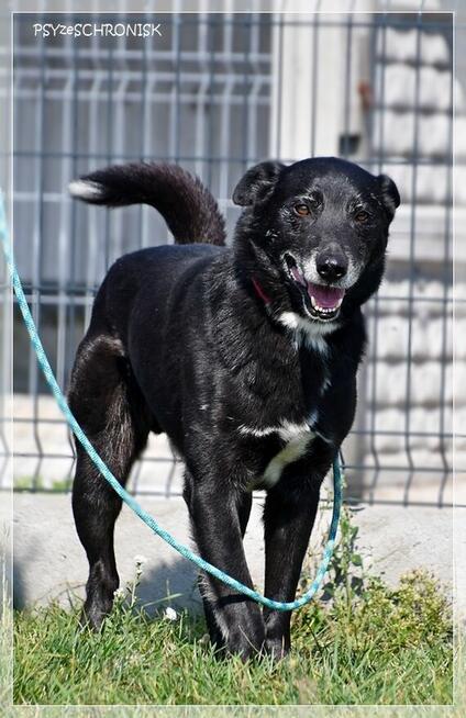 Ori – ma najpiękniejszy charakter