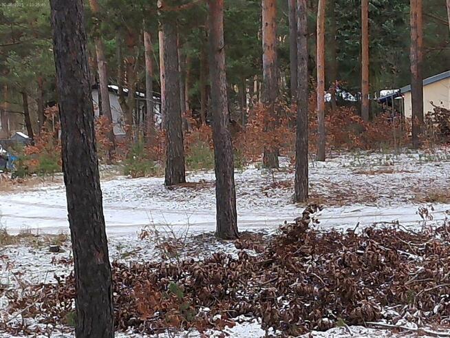 Leśno -budowlaną sprzedam