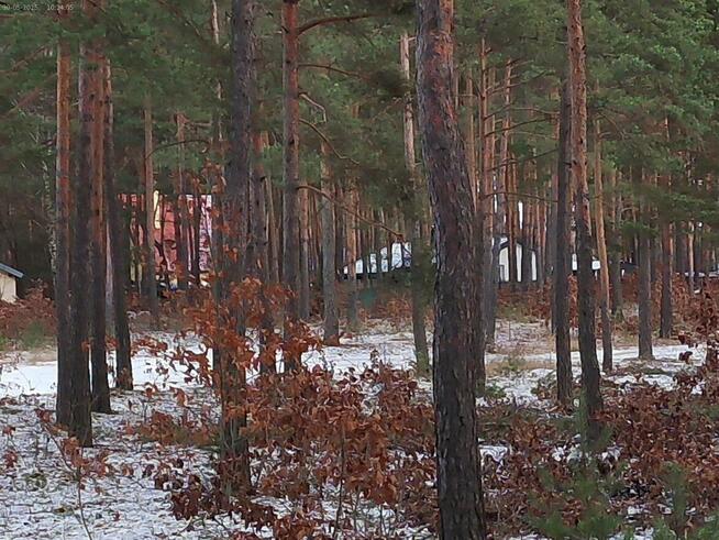 Leśno -budowlaną sprzedam