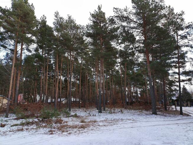 Leśno -budowlaną sprzedam