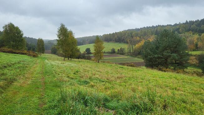 Działka budowlano-rolna Gorenice