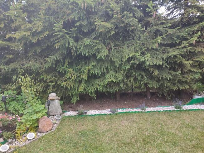 Okazja dom pol bliźniaka!!!