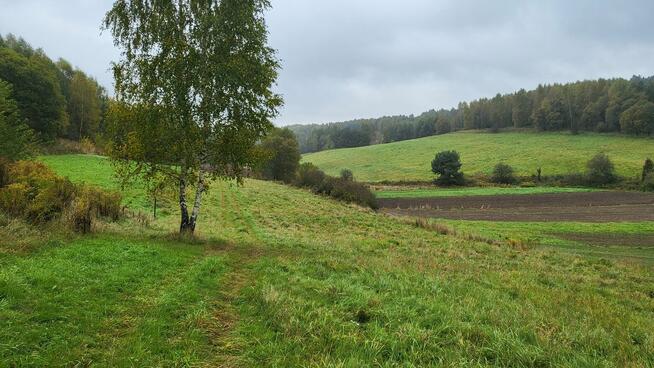 Działka budowlano-rolna Gorenice