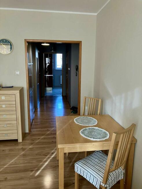 Mieszkanie na wynajem. 2 pokoje + aneks sypialniany.