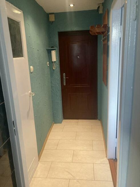 Wynajmę przytulną kawalerkę na ul. Wienieckiej