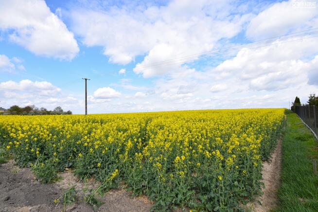 Działka siedliskowa Czerniejów-Kolonia gm. Jabłonna