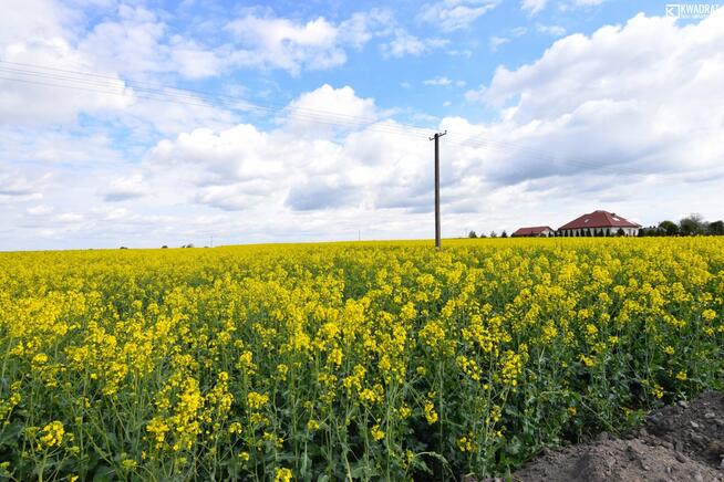 Działka siedliskowa Czerniejów-Kolonia gm. Jabłonna