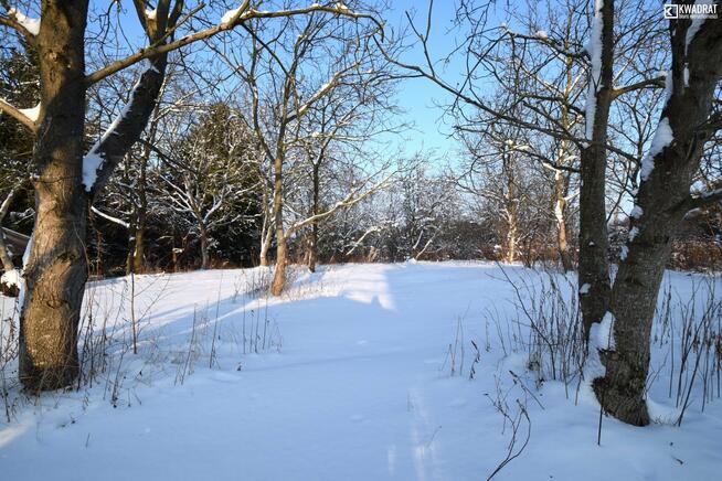 Działka budowlana Motycz gm. Konopnica