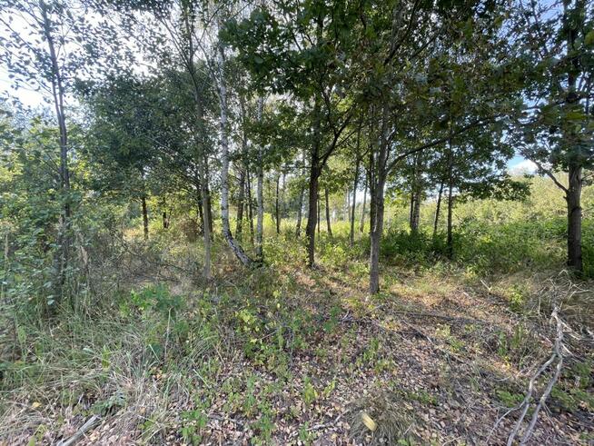 Działka budowlana Ostojów gm. Suchedniów,