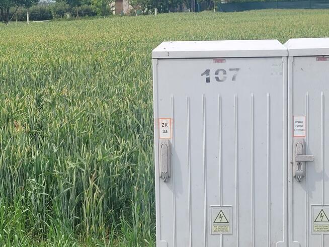 Działka budowlana gm. Domaniów, Wiosenna