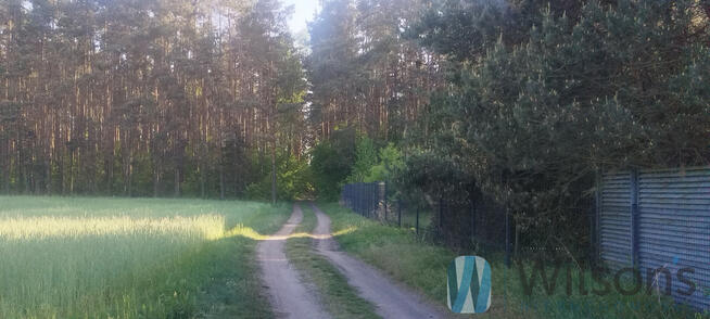 Dom Miłoszyce gm. Jelcz-Laskowice,