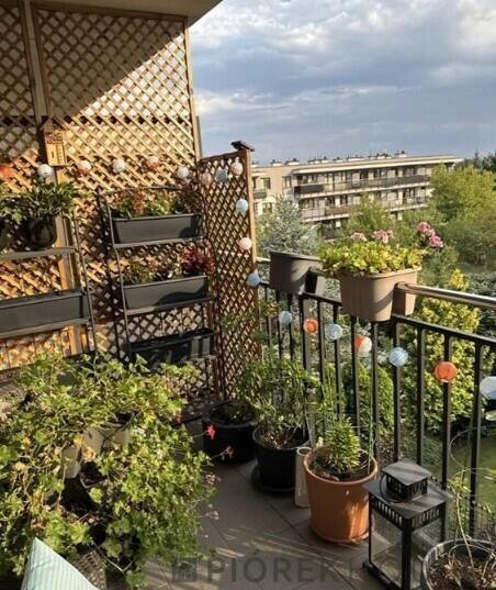 2-pokojowe mieszkanie w Markach