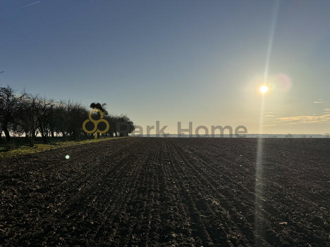 Działka inwestycyjna Chomęcice gm. Komorniki, Południowa