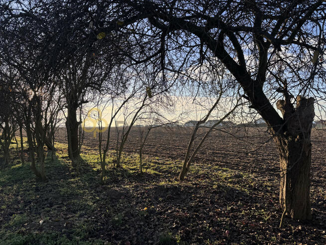 Działka inwestycyjna Chomęcice gm. Komorniki, Południowa